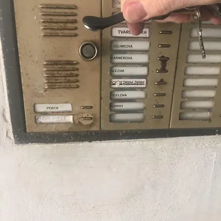 Mira 6 *